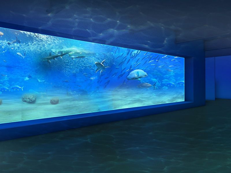 DMMかりゆし水族館